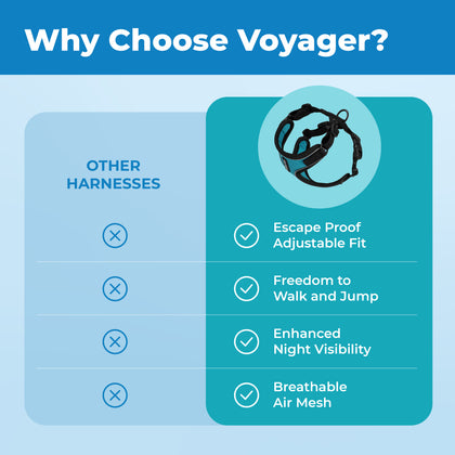 Voyager Escape Proof Cat Harness and Leash Set with Black Trim