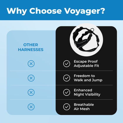 Voyager Escape Proof Cat Harness and Leash with Matching Trim