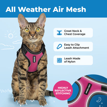 Voyager Escape Proof Cat Harness and Leash Set with Black Trim