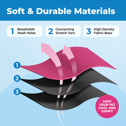 Voyager Escape Proof Cat Harness and Leash Set with Black Trim