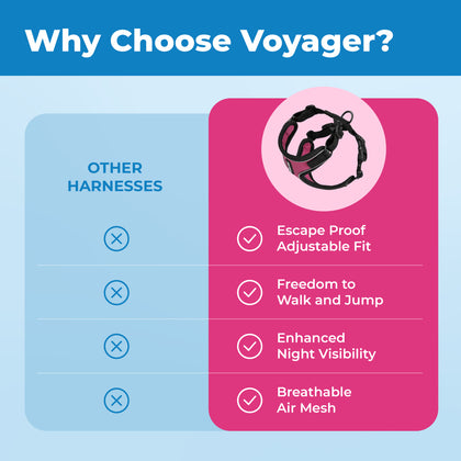 Voyager Escape Proof Cat Harness and Leash Set with Black Trim