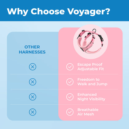 Voyager Escape Proof Cat Harness and Leash with Matching Trim