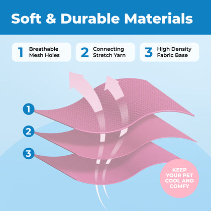 Voyager Escape Proof Cat Harness and Leash with Matching Trim