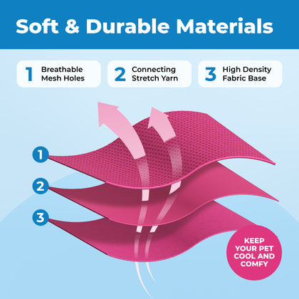 Voyager Escape Proof Cat Harness and Leash with Matching Trim