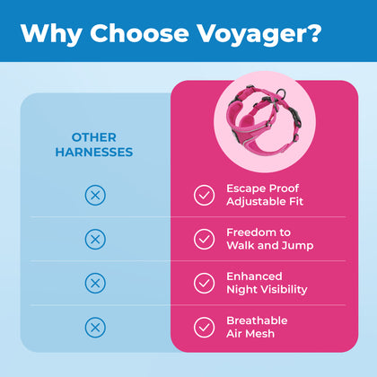 Voyager Escape Proof Cat Harness and Leash with Matching Trim