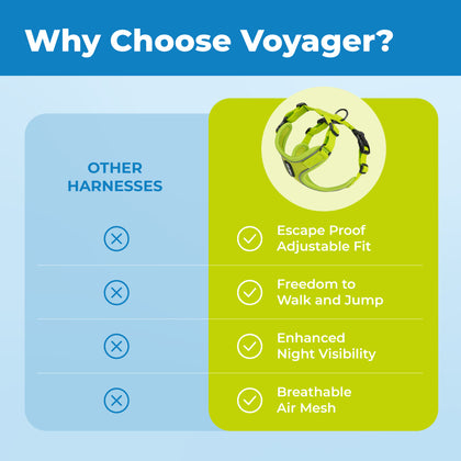 Voyager Escape Proof Cat Harness and Leash with Matching Trim