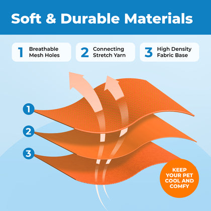 Voyager Escape Proof Cat Harness and Leash with Matching Trim