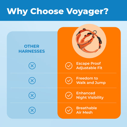 Voyager Escape Proof Cat Harness and Leash with Matching Trim