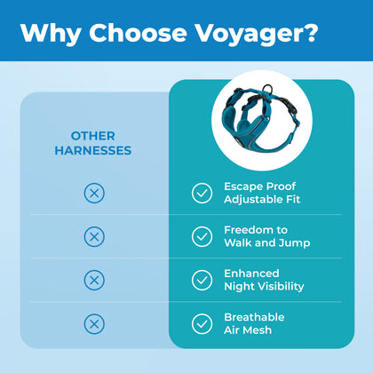 Voyager Escape Proof Cat Harness and Leash with Matching Trim