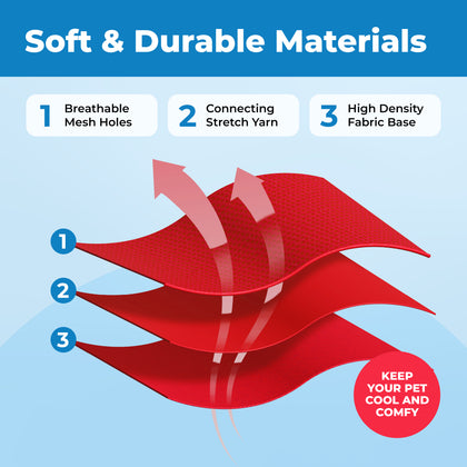 Voyager Escape Proof Cat Harness and Leash with Matching Trim