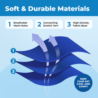 Voyager Escape Proof Cat Harness and Leash with Matching Trim