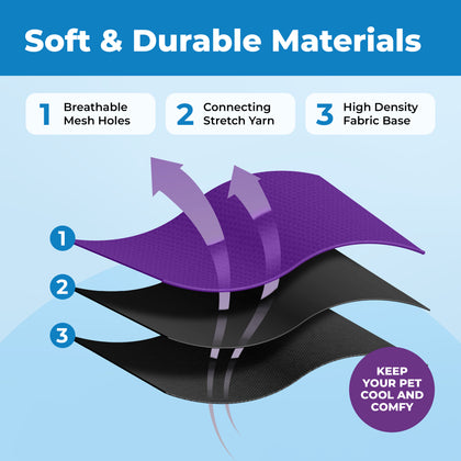 Voyager Escape Proof Cat Harness and Leash Set with Black Trim