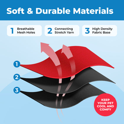 Voyager Escape Proof Cat Harness and Leash Set with Black Trim