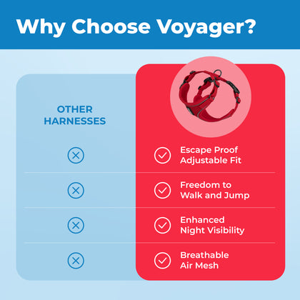 Voyager Escape Proof Cat Harness and Leash with Matching Trim