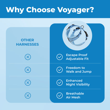 Voyager Escape Proof Cat Harness and Leash with Matching Trim