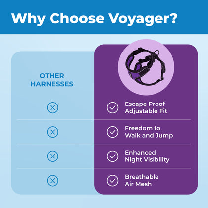 Voyager Escape Proof Cat Harness and Leash Set with Black Trim