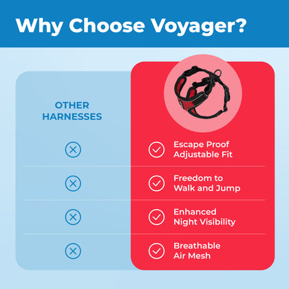 Voyager Escape Proof Cat Harness and Leash Set with Black Trim