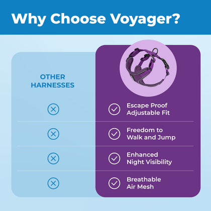 Voyager Escape Proof Cat Harness and Leash with Matching Trim