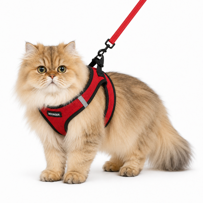 Step-In Air Harness & Leash Set With Black Trim for Cat