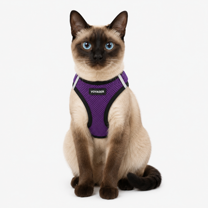 Step-In Air Pet Harness: Comfort & Safety in One