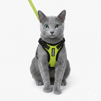 Step-In Lock Harness & Leash Set For Cats
