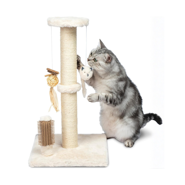 Cat Poles