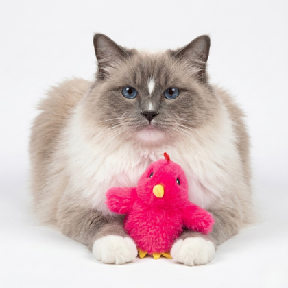 Catify Interactive Motion-Activated Cat Toy with Catnip - Flapping Chirping Chick