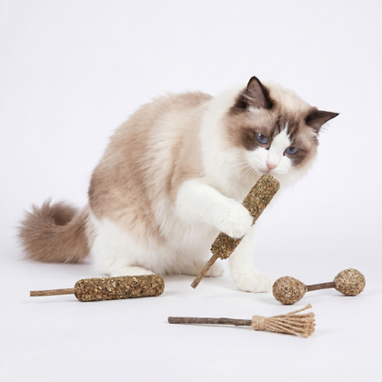 Catify Natural Silvervine Cat Chew Toys