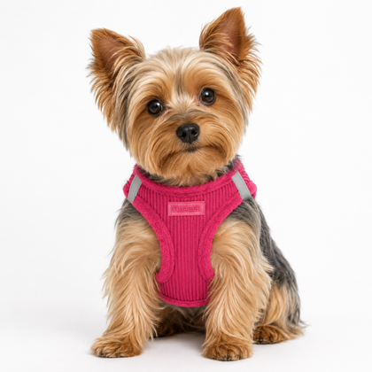 Step-In Plush Corduroy Pet Harness
