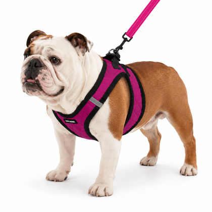 Step-In Plush Harness & Leash Set