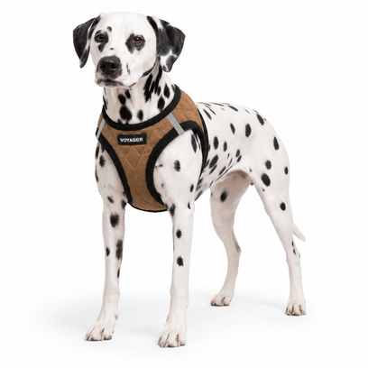 Step-In Plush Quilted Pet Harness