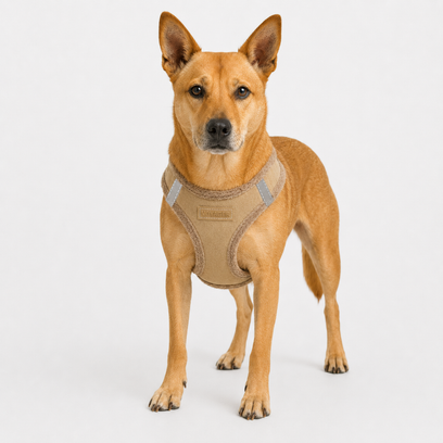 Step-In Plush Suede Pet Harness