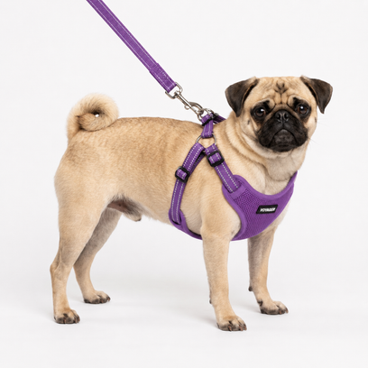 Step-In Flex Harness & Leash Set with Air Mesh
