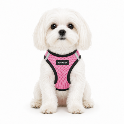 Step-In Air Pet Harness: Ultimate Comfort & Security