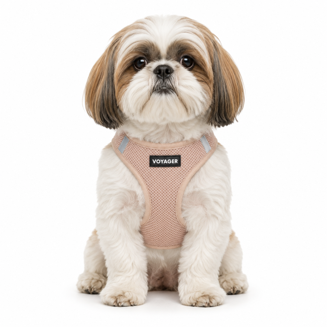 Step-In Air Pet Harness with Matching Trim