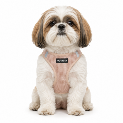 Step-In Air Pet Harness with Matching Trim