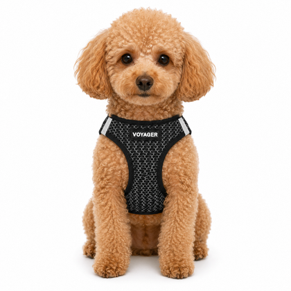 Step-In Air Pet Two-Tone Harness