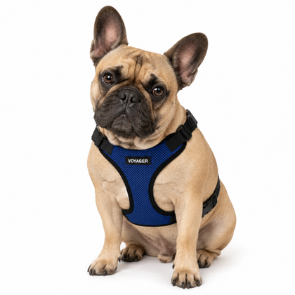 Step-In Lock Pet Harness