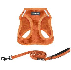 Halloween Step-in Air Harness & Leash Set - VOYAGER Dog Harnesses