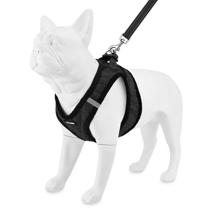 Step-In Plush Harness & Leash Set - VOYAGER Dog Harnesses