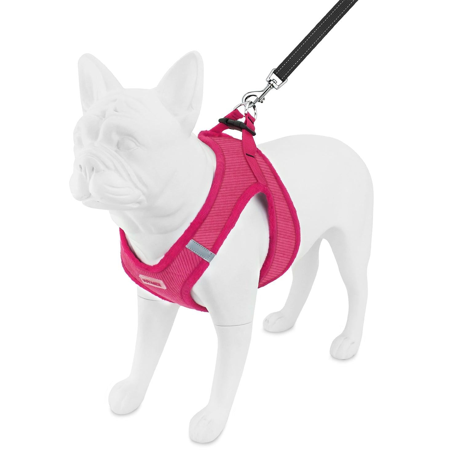 Step-In Plush Harness & Leash Set - VOYAGER Dog Harnesses