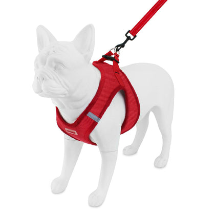 Step-In Plush Harness & Leash Set - VOYAGER Dog Harnesses