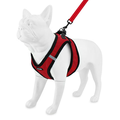 Step-In Plush Harness & Leash Set - VOYAGER Dog Harnesses
