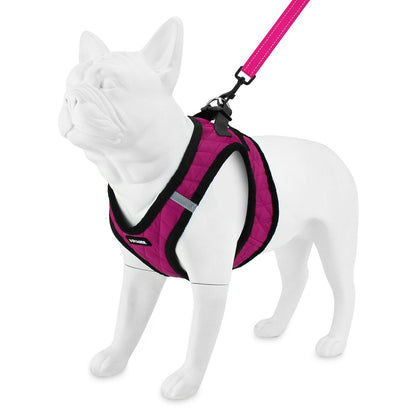 Step-In Plush Harness & Leash Set - VOYAGER Dog Harnesses