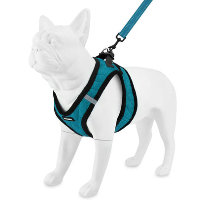 Step-In Plush Harness & Leash Set - VOYAGER Dog Harnesses