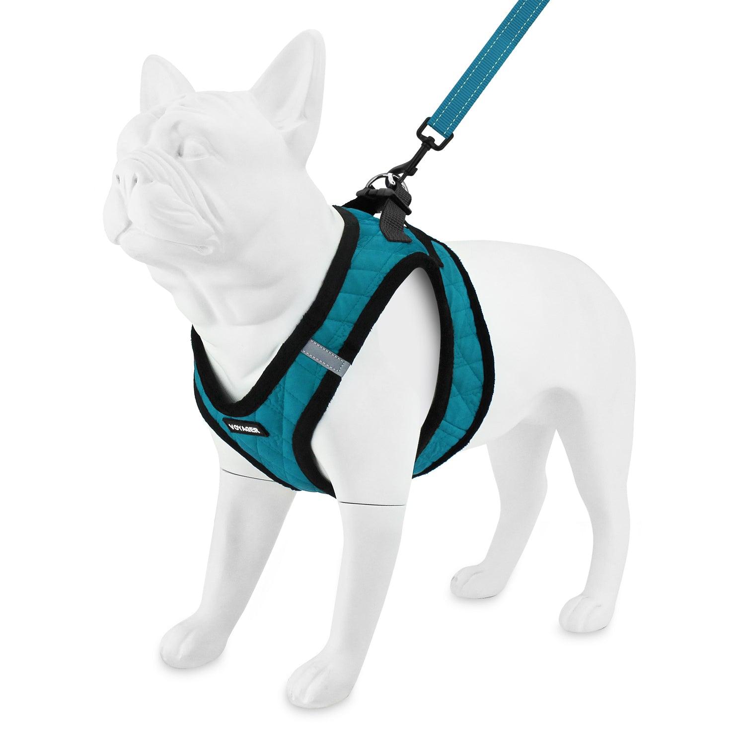 Color Combo French Bulldog Harness & Leash Set - Blue & Yellow