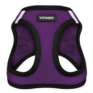 Halloween Step-In Air Pet Harness - VOYAGER Dog Harnesses