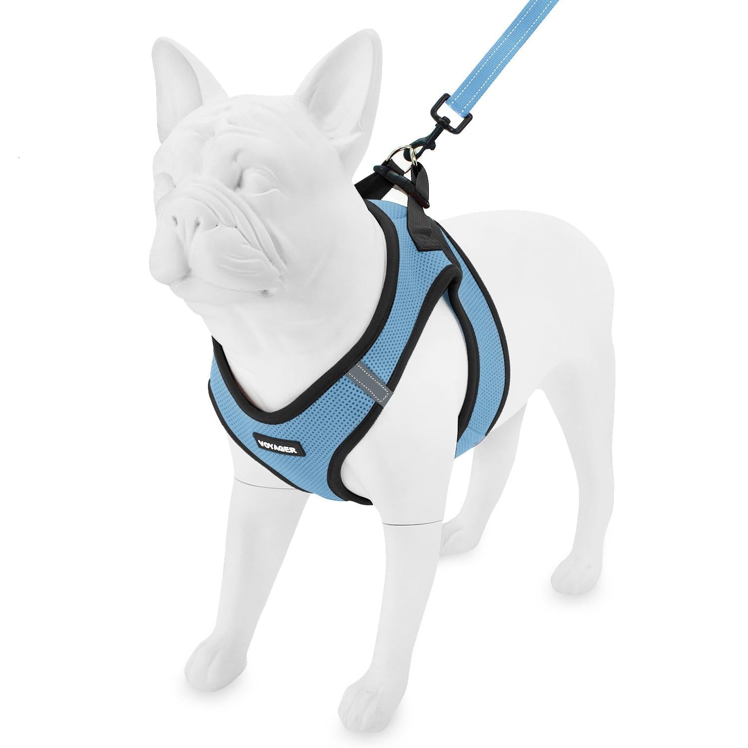 Step-in Air Harness & Leash Set - VOYAGER Dog Harnesses