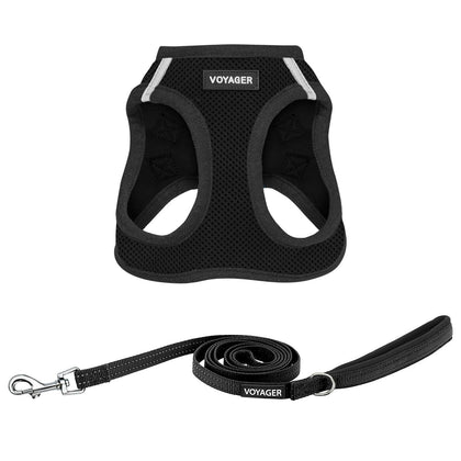 Step-in Air Harness & Leash Set - VOYAGER Dog Harnesses