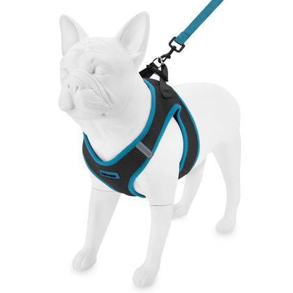 Step-in Air Harness & Leash Set - VOYAGER Dog Harnesses